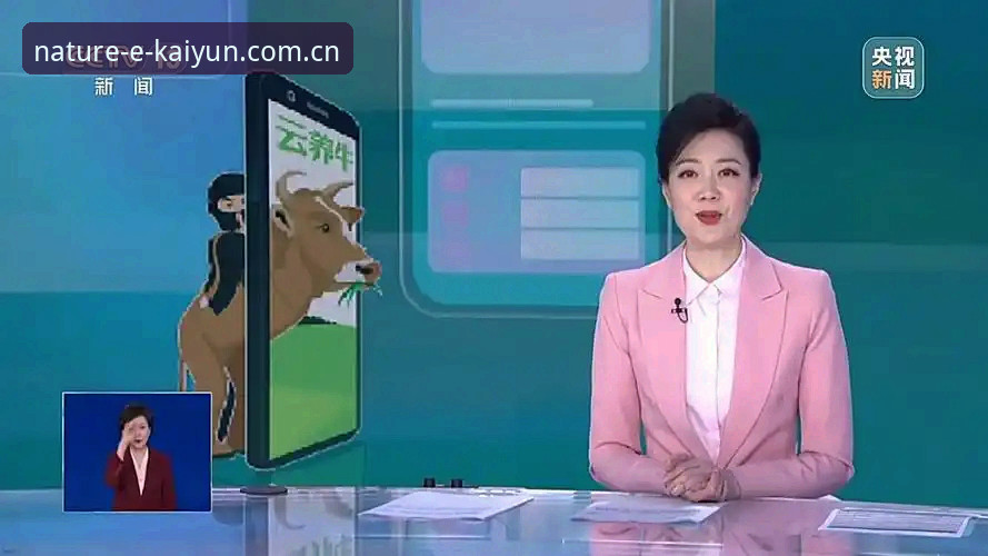 开云自然主题使用技巧详解：五个常见陷阱与规避方案