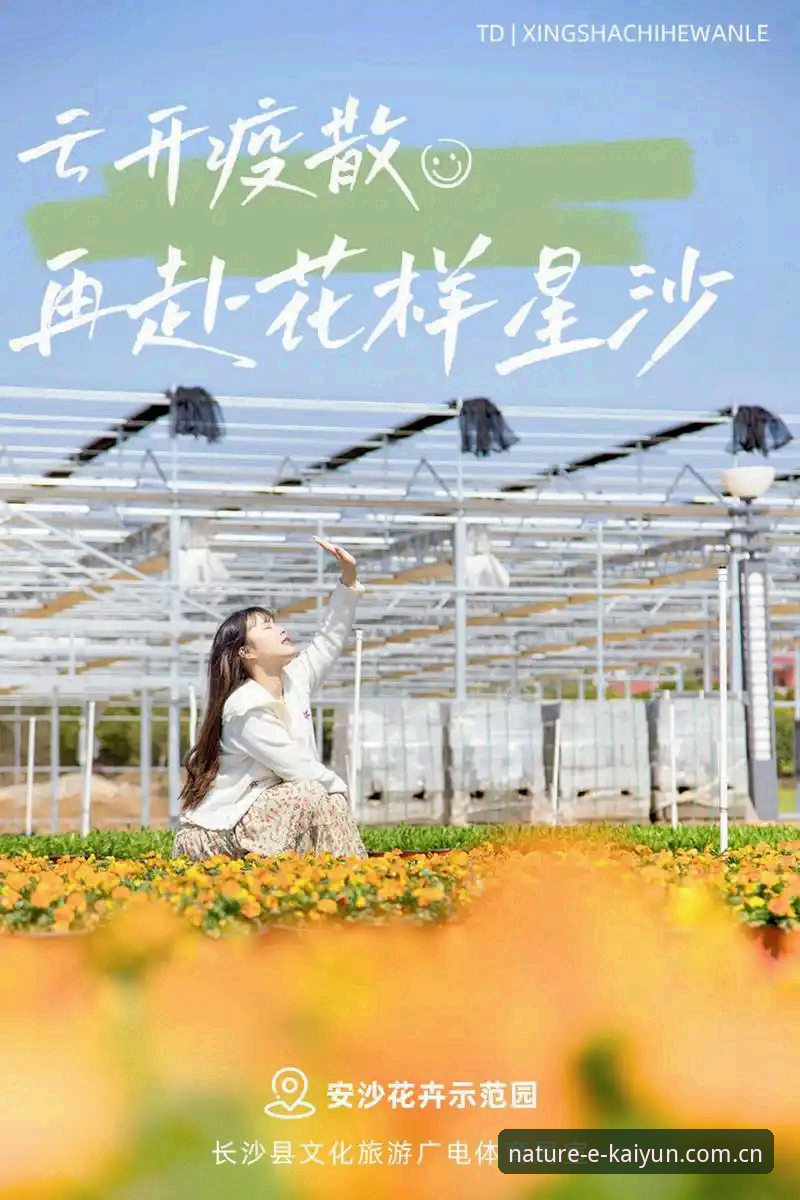 揭秘开云最新动态：那些你不知道的自然澎湃背后原理